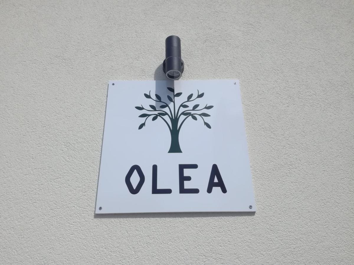 Olea Daire Tivat Dış mekan fotoğraf