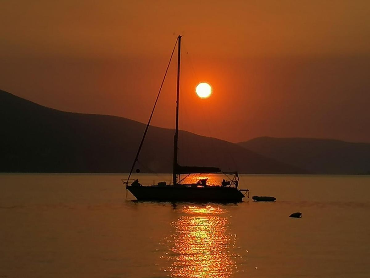 Olea Daire Tivat Dış mekan fotoğraf